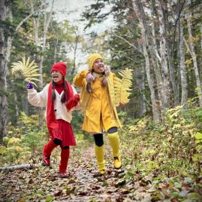 ����: ��������� 