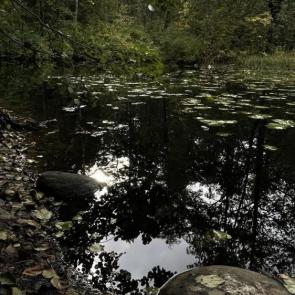 ����: ������� ��������