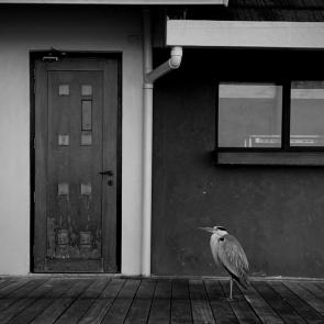 ���� ��������: ������ ���-�����