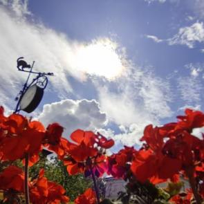 ������� �����