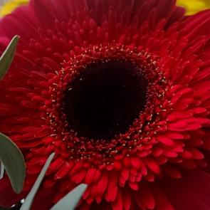 ���� ��������: 