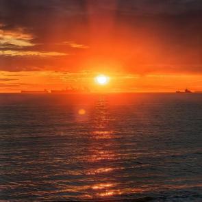 ���� ��������: 