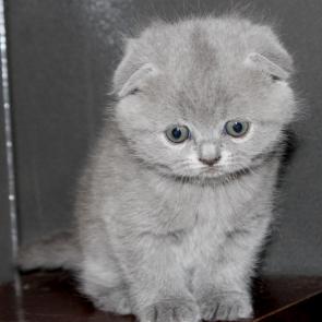 ����: ���� � �������