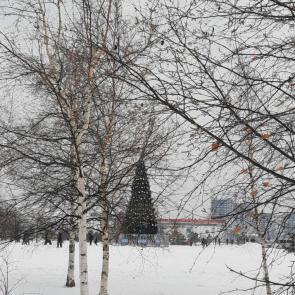 ����: ��������������