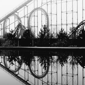 ����: ���������