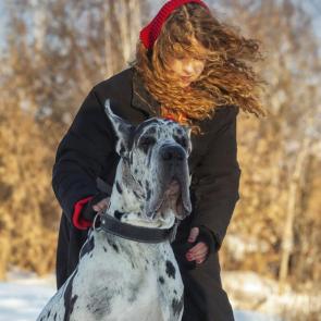 ������ ������