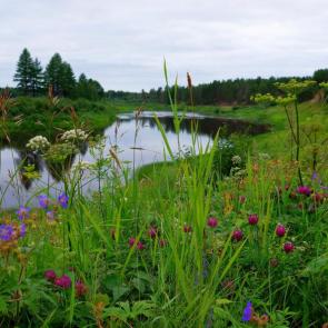 ����: �����, ����, ����, ������, �����...