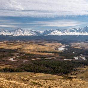 ����: ������ �����