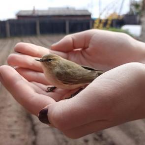 ����: �� � ���� ����� 