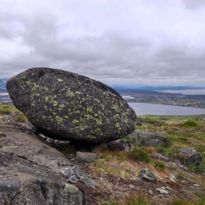 ����: �� ����