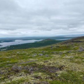 ����: ����