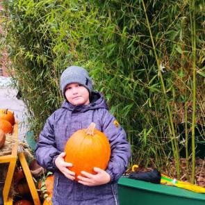 ����: ����� � �������