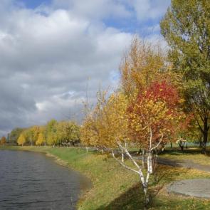 ����: ������