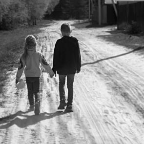 ����: ������