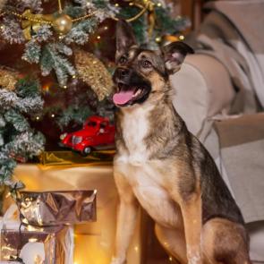 ���� ��������: ��� ��� �������?