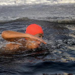 ����: ������ 