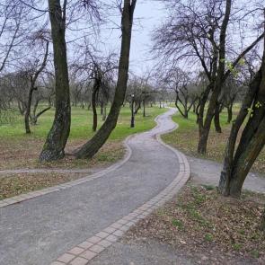 ����: �������� ���