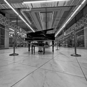 ����: ���������������