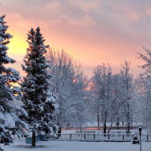 ����: �������