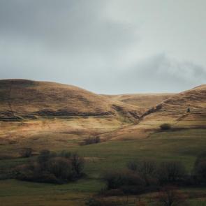 ����: ��������� � �������