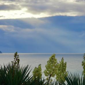 ���� ��������: �������. ������ ���.