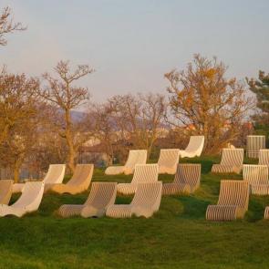 ���� ��������: ���� ����������