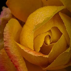 ����: ����