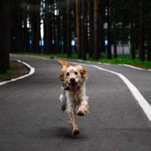 ����: ������� � ����� 