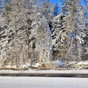 ����: ��������� �����