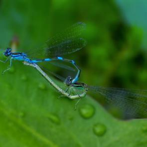 ����: � ����� ��� ������