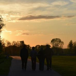 ���� ��������: �������