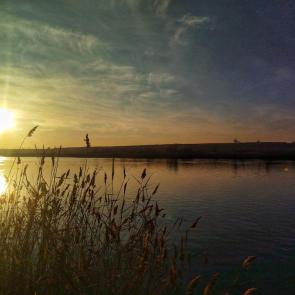 ����: �����