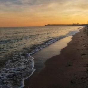 ����: ����. �����