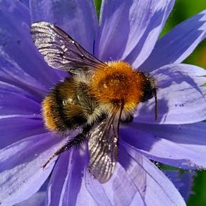 ���� ��������: 