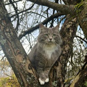 ����: ������ ����. �� ����....