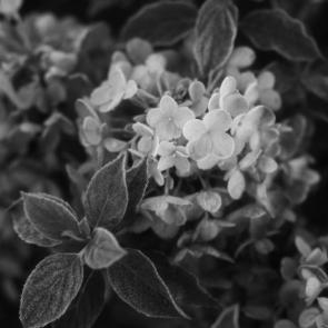 ���� ��������: 