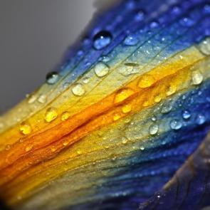 ����: ����