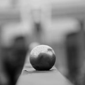 ����: �����