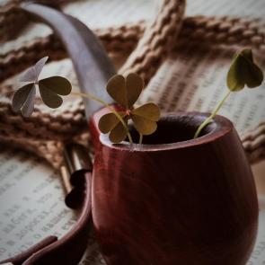 ����: ������ ������ 