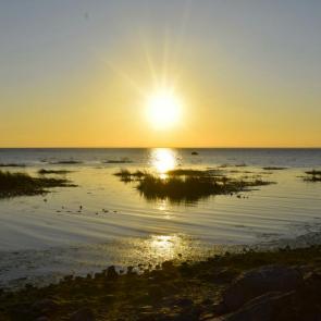 ����: ������ ������