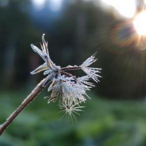 ���� ��������: �� ��������, ����, �� ��������...