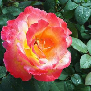 ����: ���� �� ���-�� ���������� ���� ?