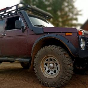 ����: ���� 