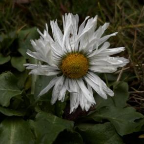 ���� ��������: 