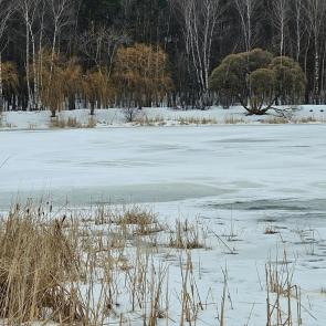 ����: � �����