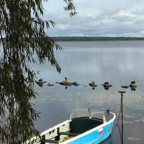 ���� ��������: 