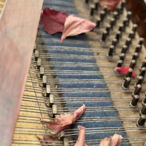 ����: ������� �������