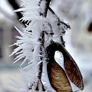 ����: ��� � ����