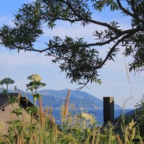 ����: ������� ������ �� ��������