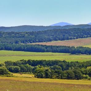 ����: ����������� ��������